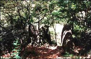 Parque das Hortências em Taboão da Serra